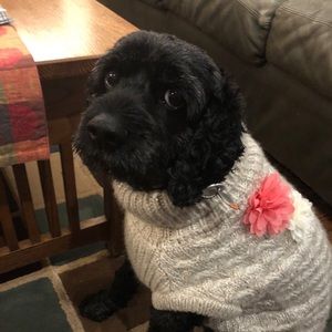 Meet your Posher, Andrea